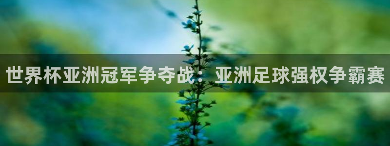 欧洲世界杯预选赛:世界杯亚洲冠军争夺战:亚洲足球强权争霸赛