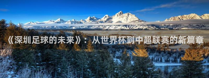 2026世界杯小组赛赛程时间表:《深圳足球的未来》:从世界杯到中超联赛的新篇章