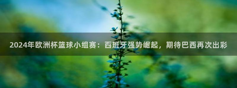 2026足球世界杯赛程时间表:2024年欧洲杯篮球小组赛:西班牙强势崛起,期待巴西再次出彩