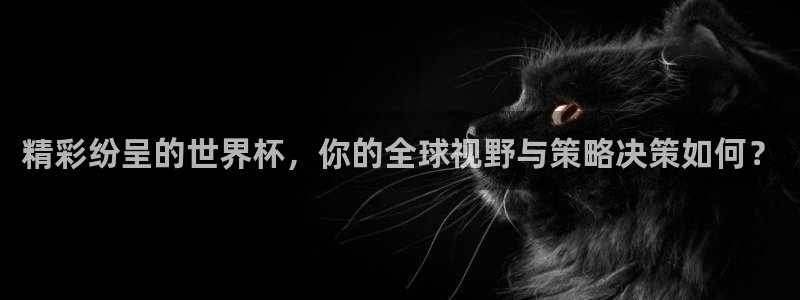 2026世界杯亚洲区预选赛赛程:精彩纷呈的世界杯,你的全球视野与策略决策如何?