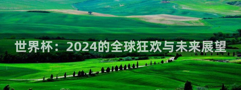 2026世界杯欧洲预选赛赛程表:世界杯:2024的全球狂欢与未来展望