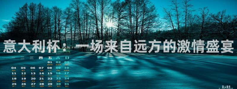世界杯决赛圈球队:意大利杯:一场来自远方的激情盛宴