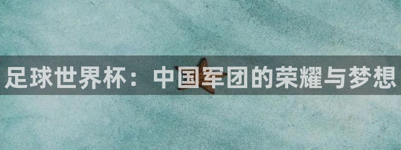 2026世界杯直播免费观看:足球世界杯:中国军团的荣耀与梦想