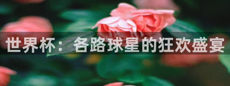 2026世界杯对阵图:世界杯:各路球星的狂欢盛宴