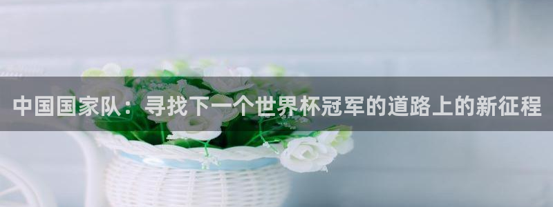 世界杯直播在线观看入口:中国国家队:寻找下一个世界杯冠军的道路上的新征程